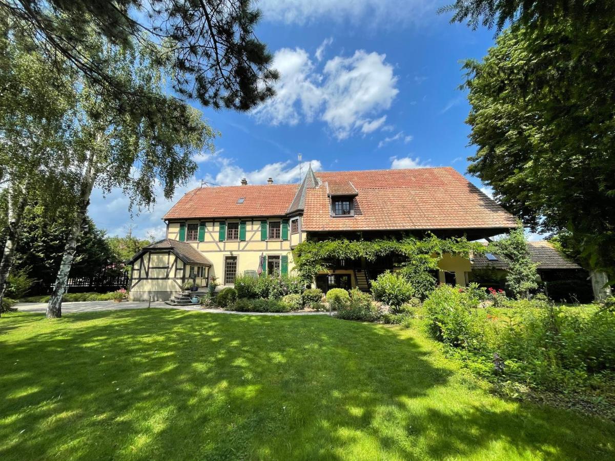 Apartamento Rose - Piscine Partagée Hessenheim Exterior foto